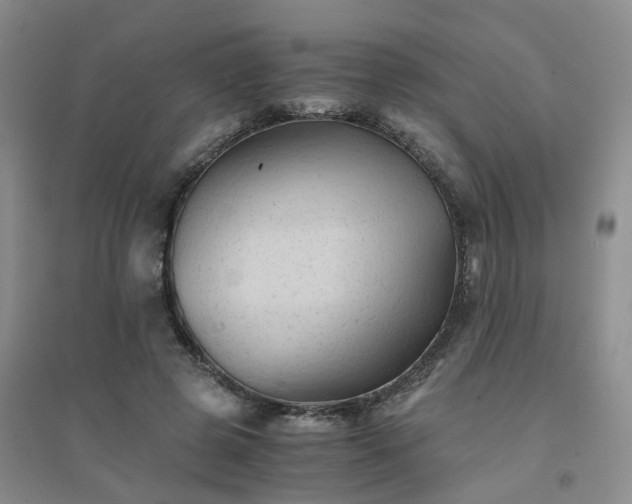 X0000094450545200711151430