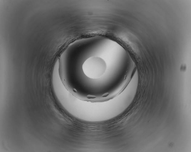 X0000094450546200711151430