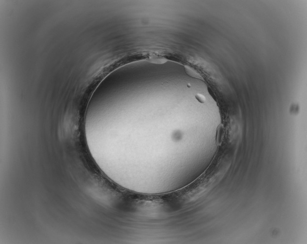 X0000094450548200711151430