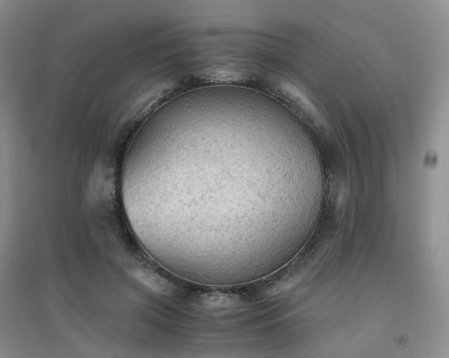 X0000094450549200711151430