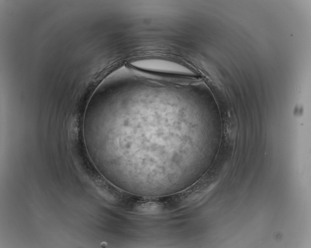 X0000094450551200711151430