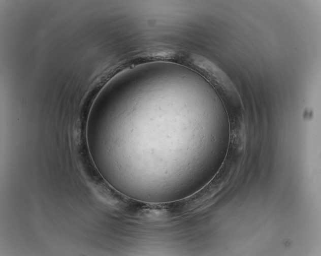 X0000094450552200711151430