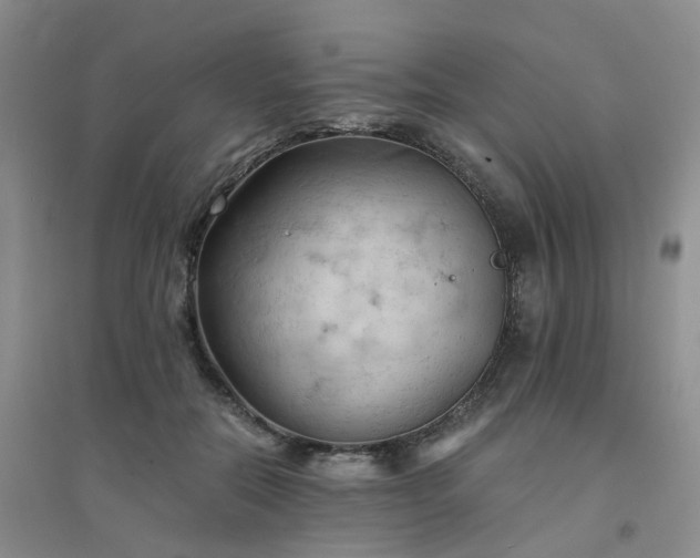X0000094450554200711151430