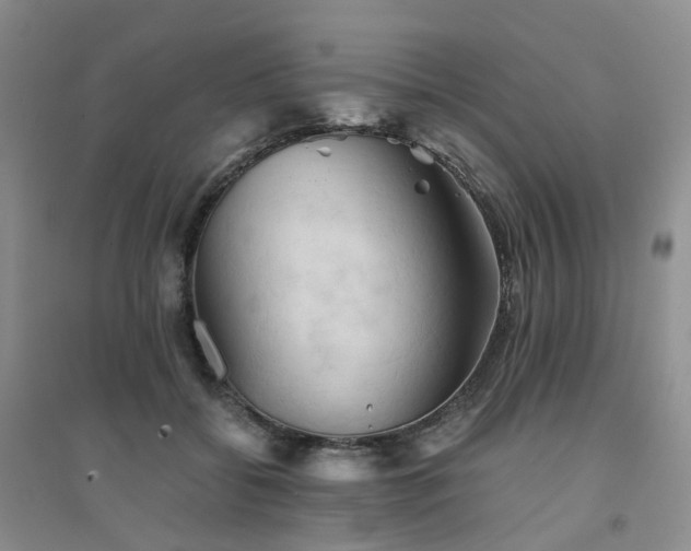 X0000094450556200711151430