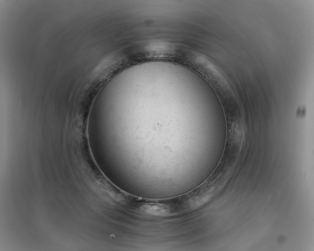 X0000094450557200711151430