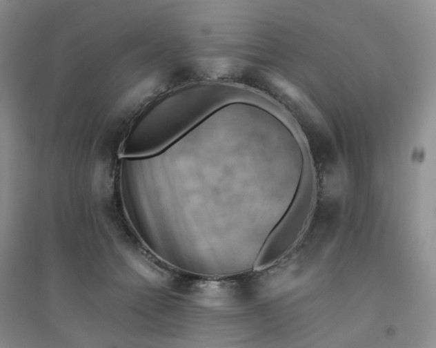 X0000094450558200711151430