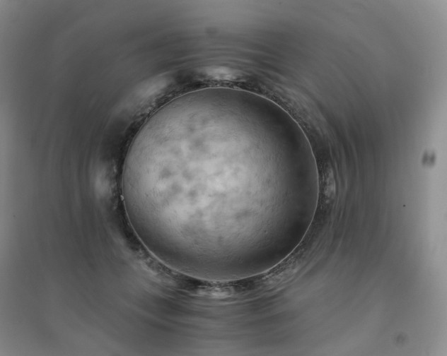 X0000094450559200711151430