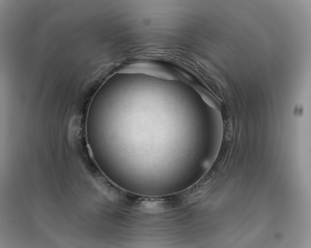 X0000094450560200711151430
