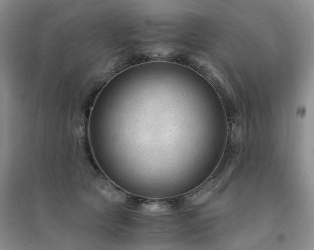 X0000094450561200711151430