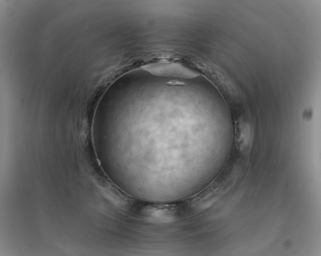 X0000094450563200711151430