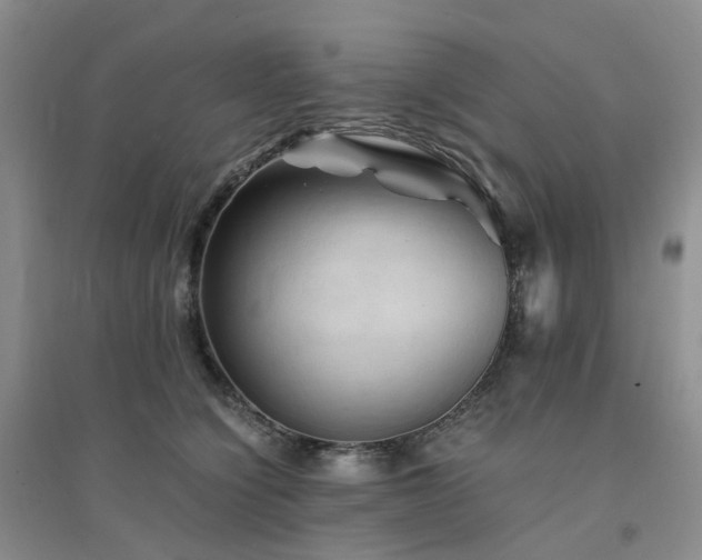 X0000094450564200711151430