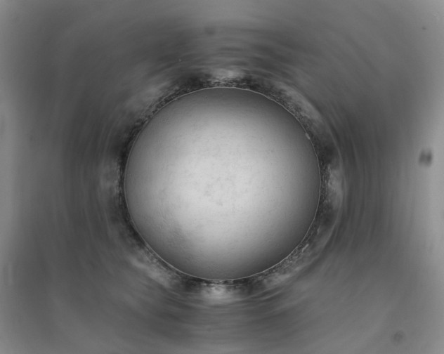 X0000094450565200711151430