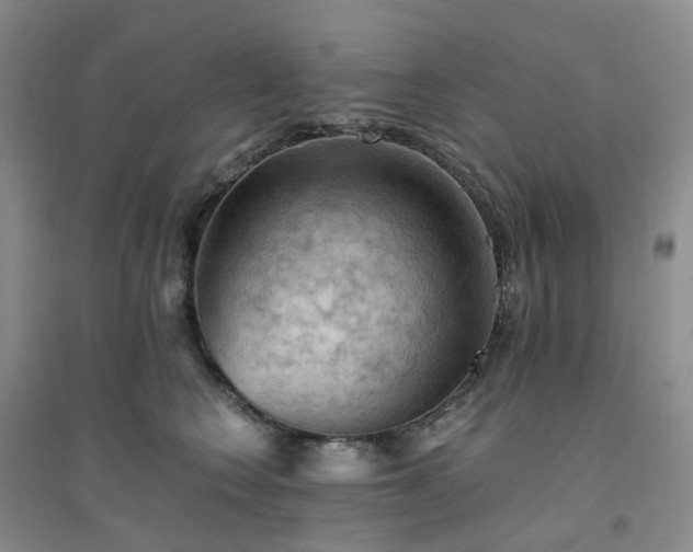 X0000094450566200711151430