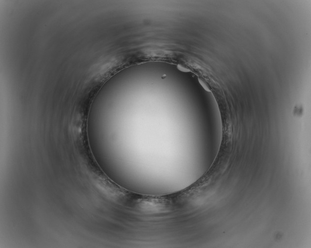 X0000094450567200711151430