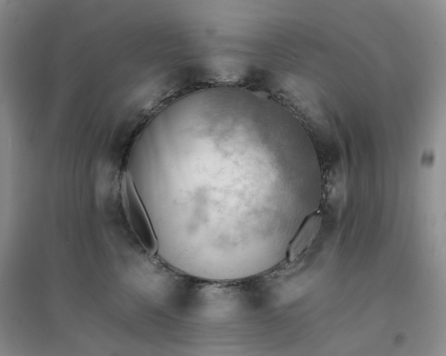 X0000094450568200711151430