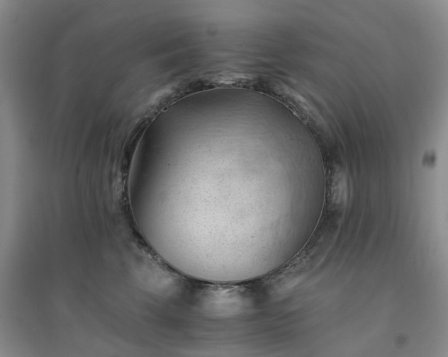 X0000094450569200711151430