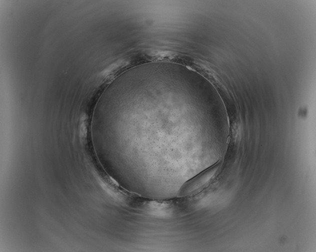 X0000094450570200711151430