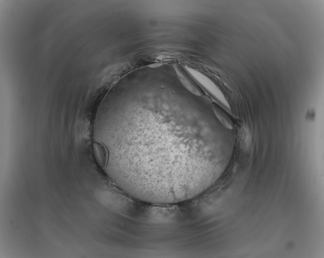X0000094450571200711151430