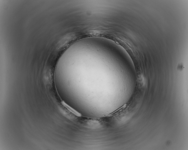X0000094450572200711151430