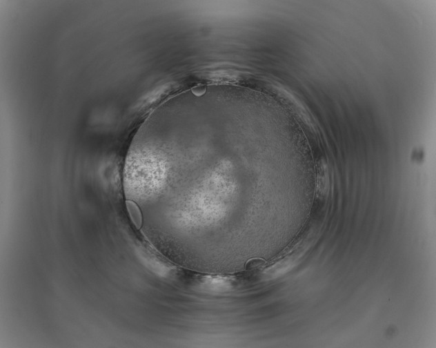X0000094450573200711151430