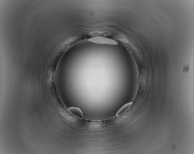 X0000094450574200711151430