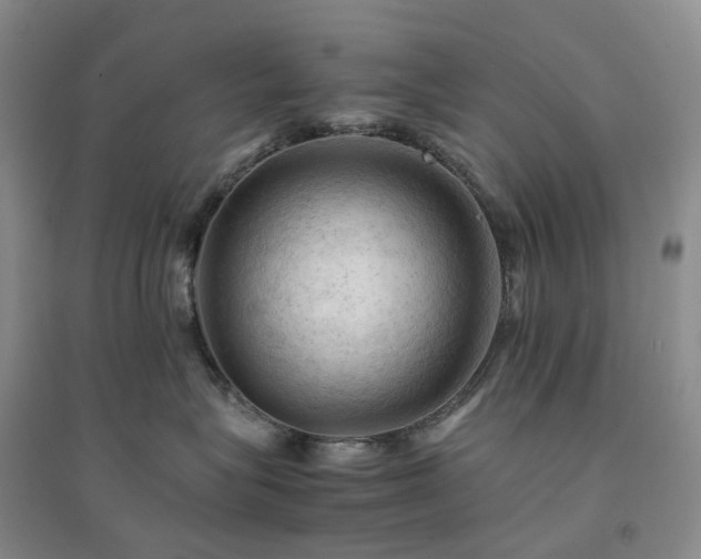 X0000094450575200711151430