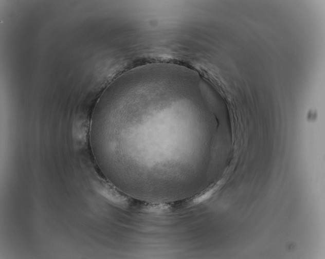 X0000094450576200711151430