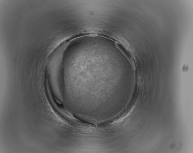 X0000094450577200711151429