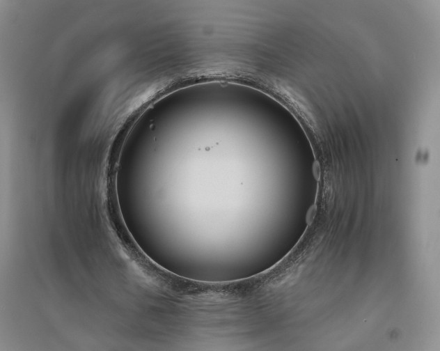 X0000094450578200711151429