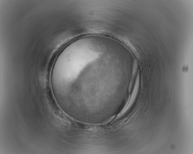 X0000094450579200711151429