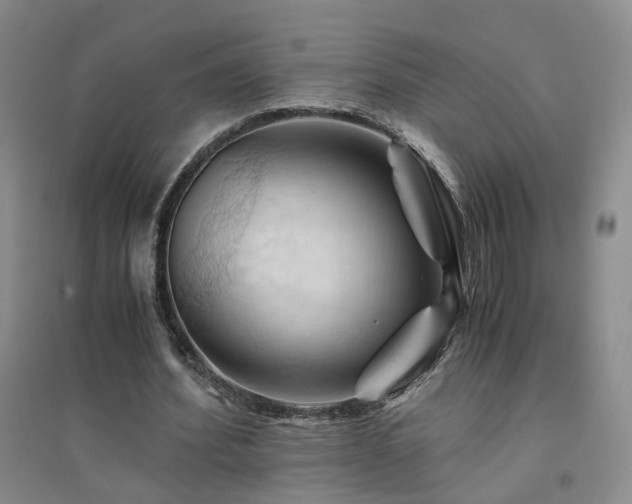 X0000094450580200711151429