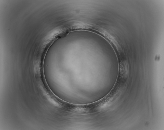X0000094450581200711151429