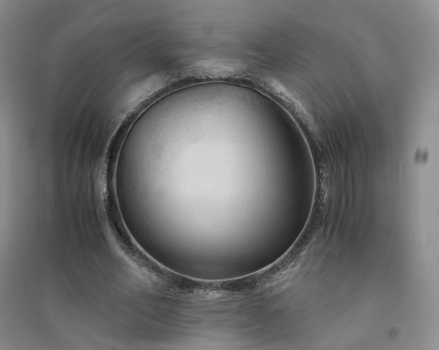 X0000094450582200711151429
