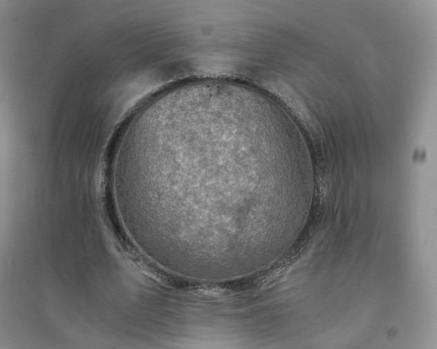 X0000094450583200711151429