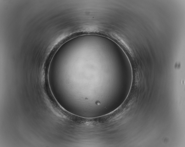 X0000094450584200711151429
