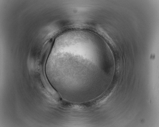X0000094450585200711151429