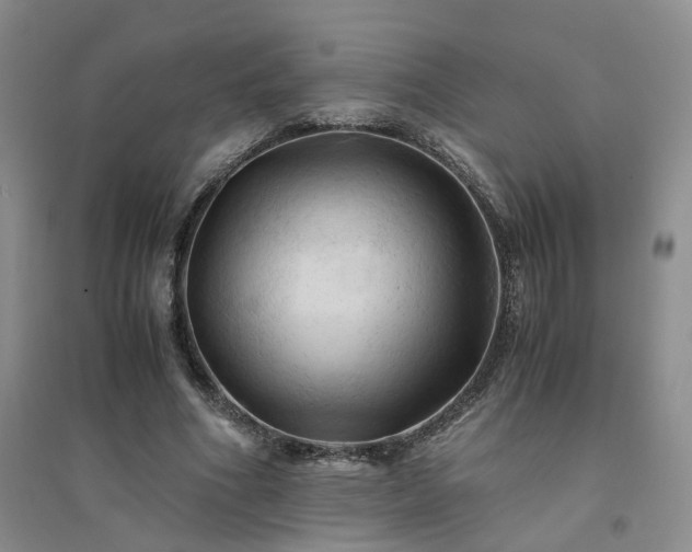 X0000094450586200711151429