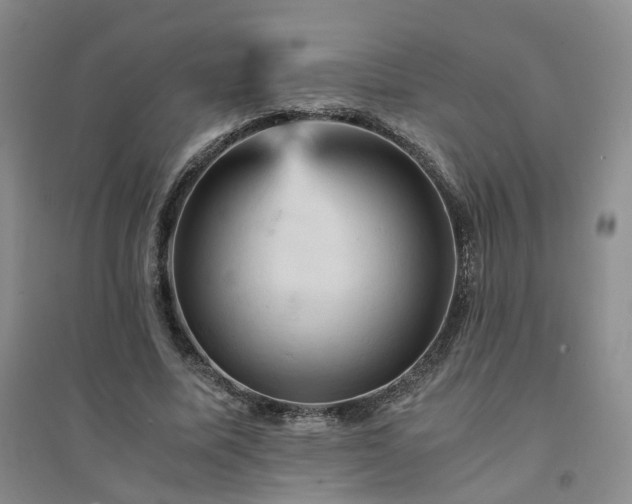 X0000094450587200711151429