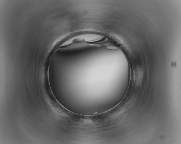 X0000094450588200711151429
