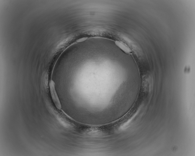 X0000094450589200711151429