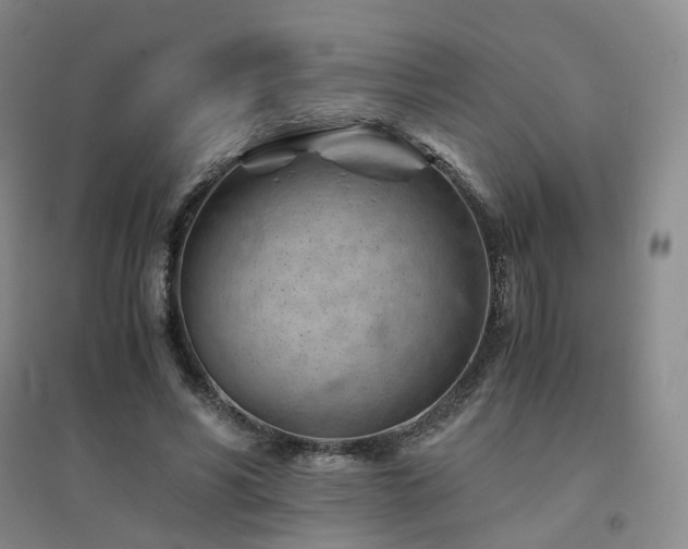 X0000094450590200711151429