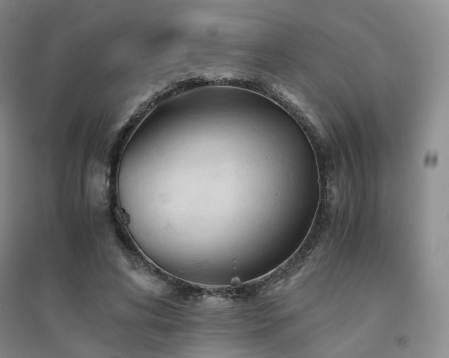 X0000094450592200711151429