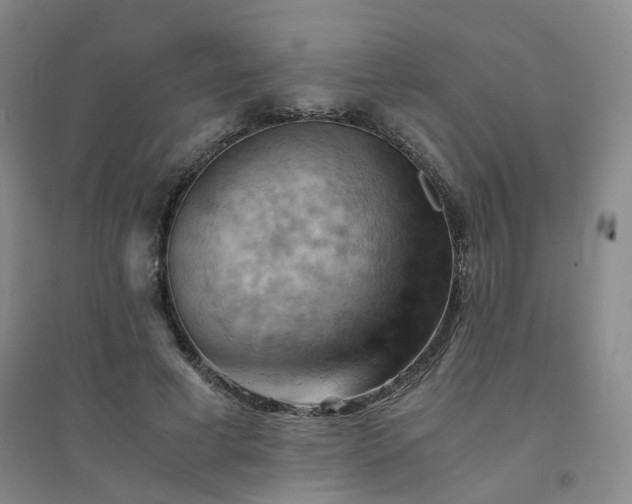 X0000094450593200711151429