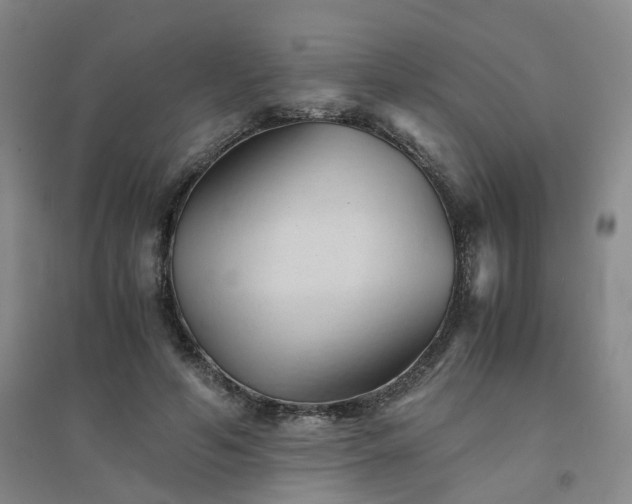 X0000094450594200711151429