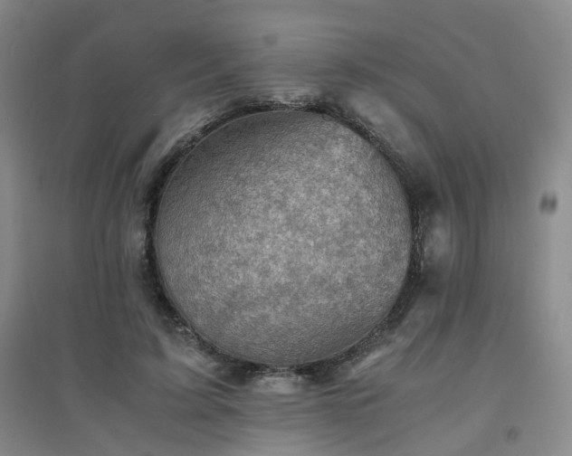 X0000094450595200711151429