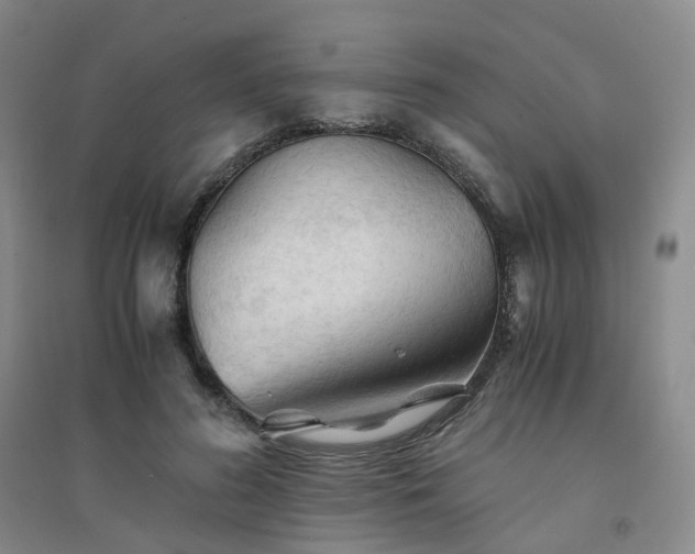 X0000094450596200711151429