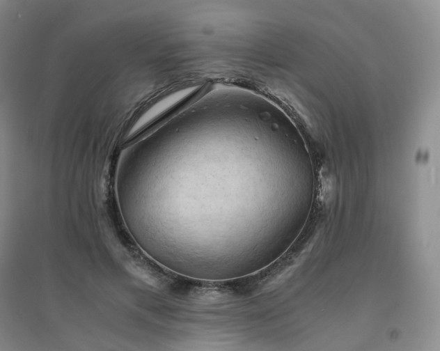 X0000094450597200711151429