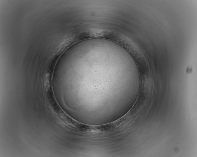 X0000094450598200711151429