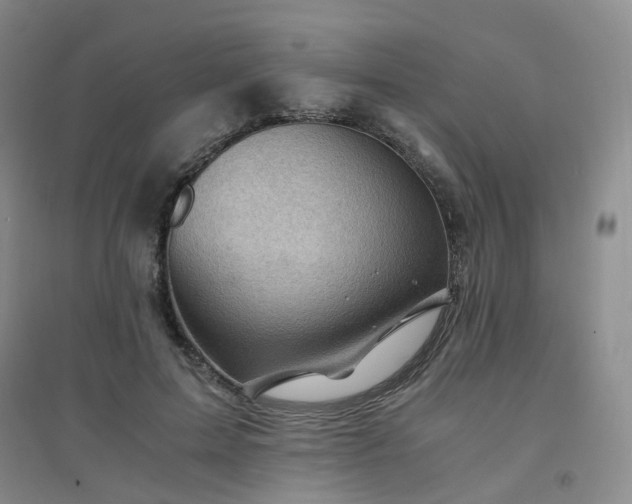 X0000094450599200711151429