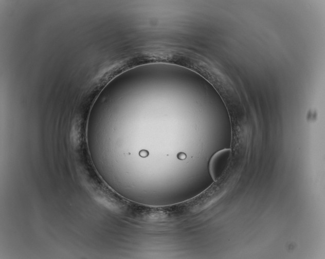 X0000094450600200711151429